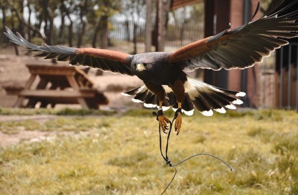 Visita la Granja Natura